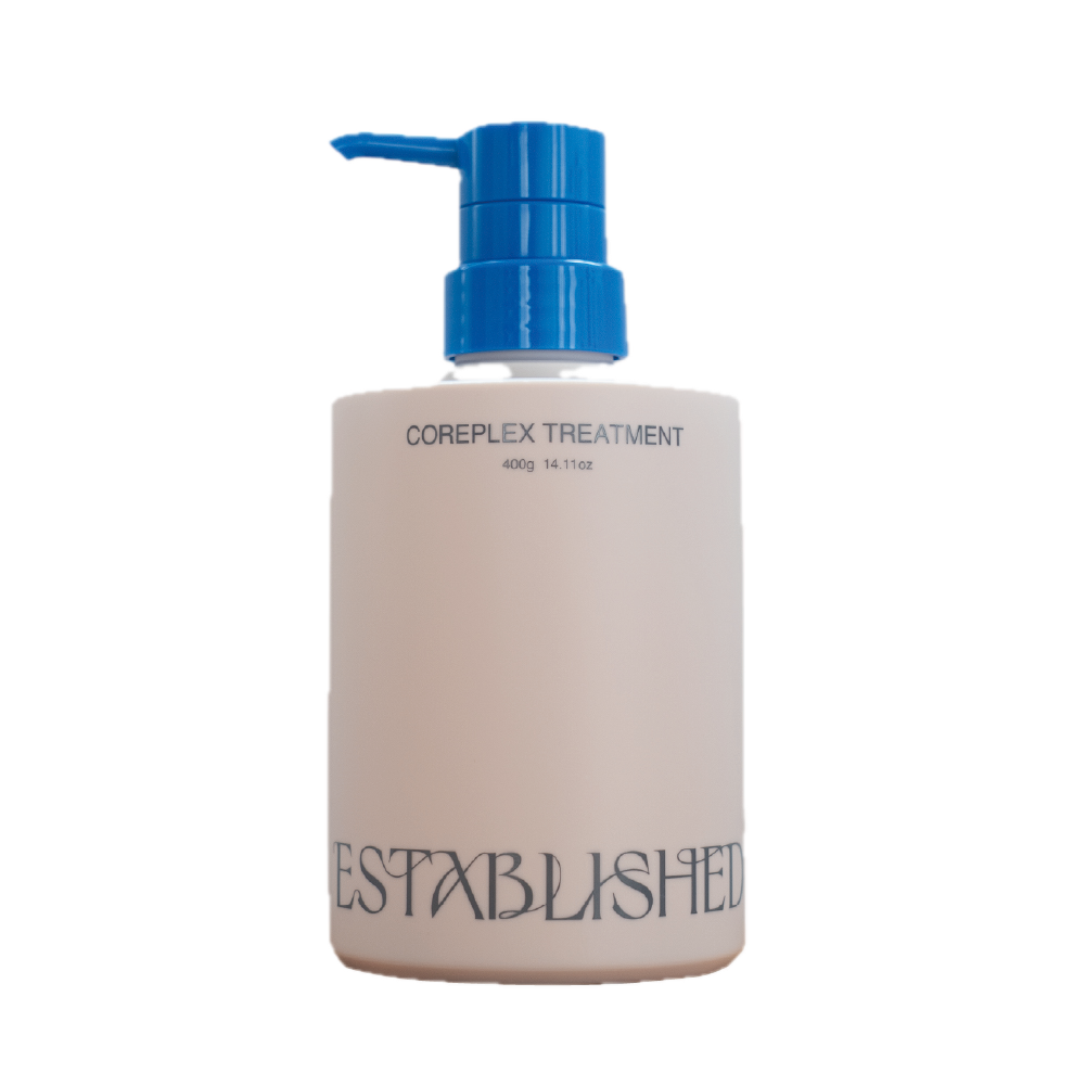 ESTABLISHED コアプレックス トリートメント400g