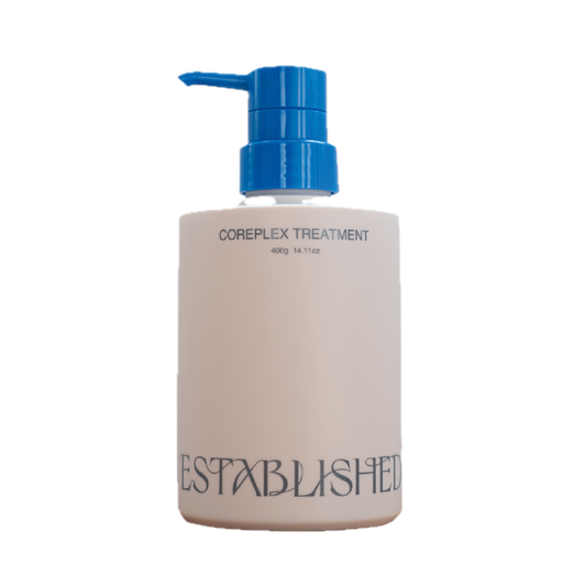 ESTABLISHED コアプレックス トリートメント400g