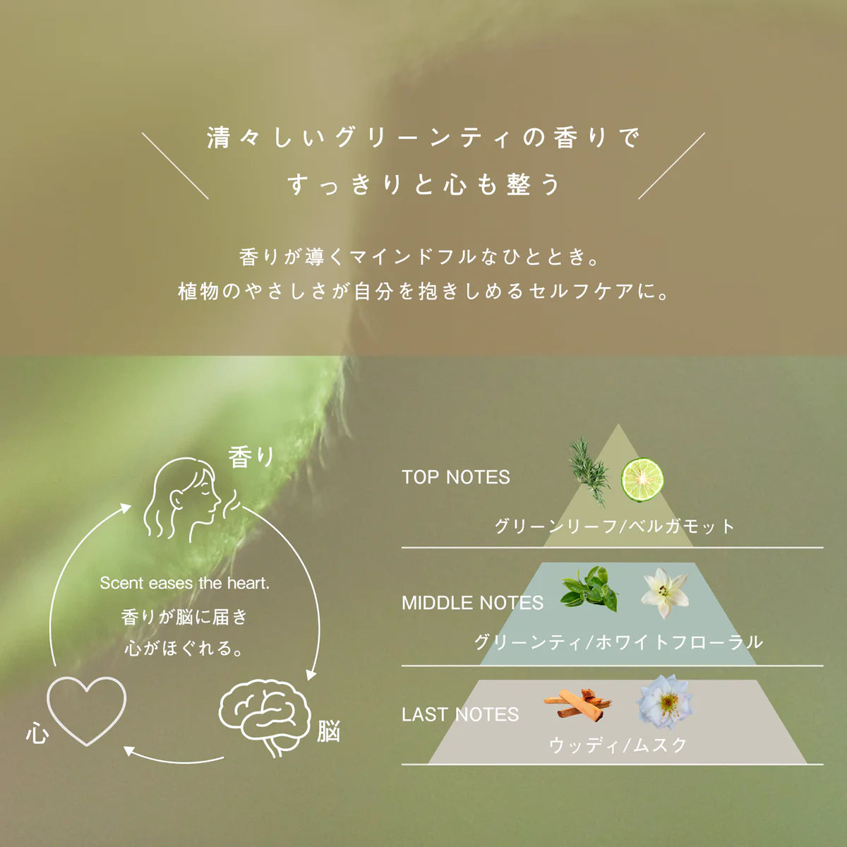 【FENDIともコラボ】soel  LIVING-OIL LOTION 化粧水 120mL